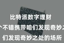 比特派数字理财 恰是一个不错携带咱们发现奇妙之处的场所