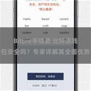 Bitpie手续费 比特派钱包安全吗？专家详解其全面优势