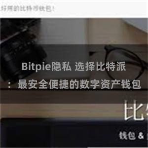 Bitpie隐私 选择比特派：最安全便捷的数字资产钱包