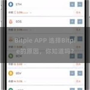 Bitpie APP 选择Bitpie的原因，你知道吗？