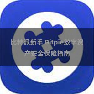 比特派新手 Bitpie数字资产安全保障指南