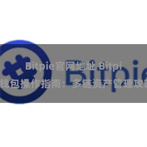 Bitpie官网地址 Bitpie钱包操作指南：多链资产管理攻略