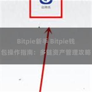 Bitpie新手 Bitpie钱包操作指南：多链资产管理攻略