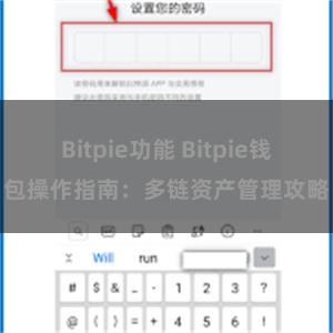 Bitpie功能 Bitpie钱包操作指南：多链资产管理攻略