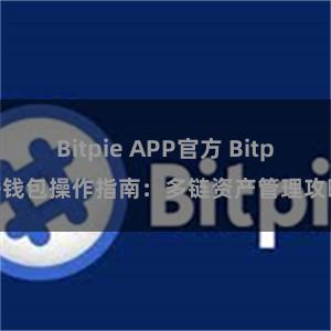 Bitpie APP官方 Bitpie钱包操作指南：多链资产管理攻略