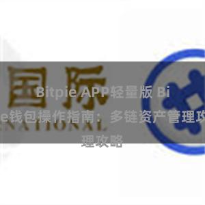 Bitpie APP轻量版 Bitpie钱包操作指南：多链资产管理攻略