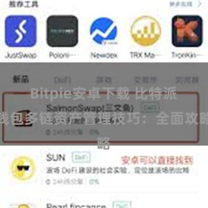 Bitpie安卓下载 比特派钱包多链资产管理技巧：全面攻略