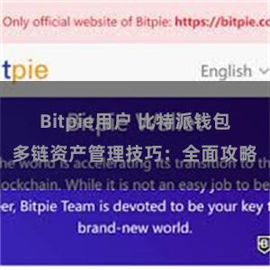 Bitpie用户 比特派钱包多链资产管理技巧：全面攻略