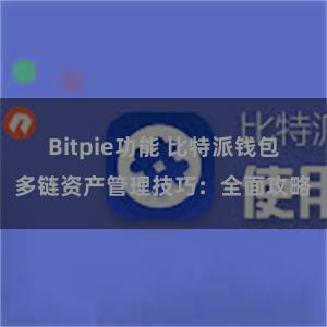 Bitpie功能 比特派钱包多链资产管理技巧：全面攻略