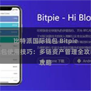 比特派国际钱包 Bitpie钱包使用技巧：多链资产管理全攻略