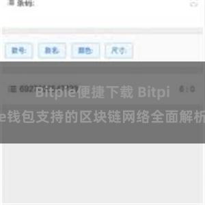 Bitpie便捷下载 Bitpie钱包支持的区块链网络全面解析