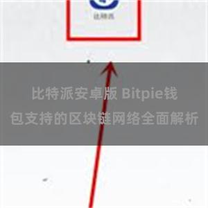 比特派安卓版 Bitpie钱包支持的区块链网络全面解析