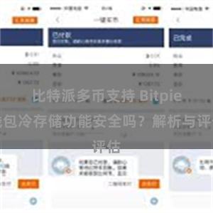 比特派多币支持 Bitpie钱包冷存储功能安全吗？解析与评估