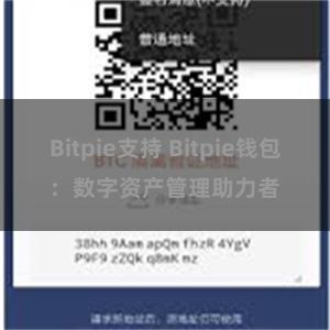 Bitpie支持 Bitpie钱包：数字资产管理助力者