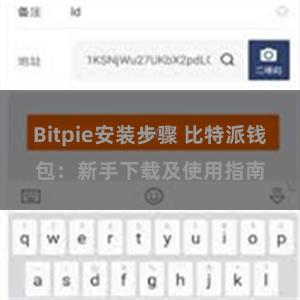 Bitpie安装步骤 比特派钱包：新手下载及使用指南