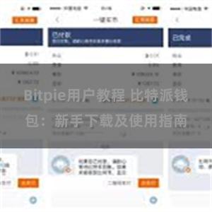 Bitpie用户教程 比特派钱包：新手下载及使用指南