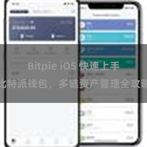 Bitpie iOS 快速上手比特派钱包，多链资产管理全攻略