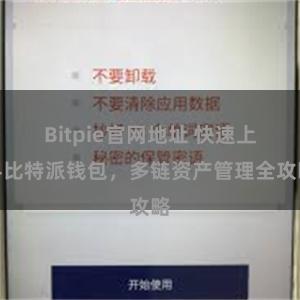 Bitpie官网地址 快速上手比特派钱包，多链资产管理全攻略