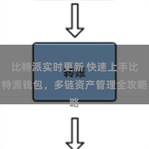 比特派实时更新 快速上手比特派钱包，多链资产管理全攻略