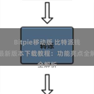 Bitpie移动版 比特派钱包最新版本下载教程：功能亮点全解析