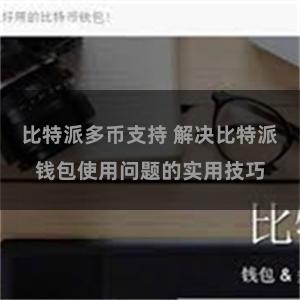 比特派多币支持 解决比特派钱包使用问题的实用技巧