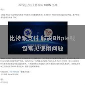 比特派支付 解决Bitpie钱包常见使用问题