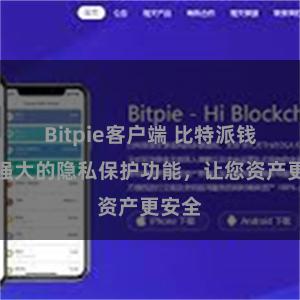 Bitpie客户端 比特派钱包：强大的隐私保护功能，让您资产更安全