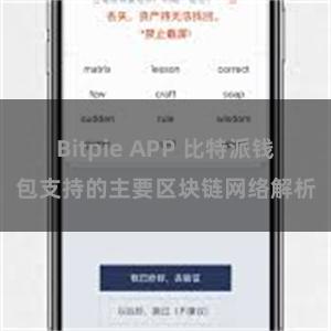 Bitpie APP 比特派钱包支持的主要区块链网络解析