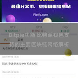 Bitpie功能 比特派钱包支持的主要区块链网络解析