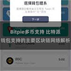 Bitpie多币支持 比特派钱包支持的主要区块链网络解析