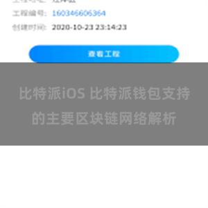 比特派iOS 比特派钱包支持的主要区块链网络解析