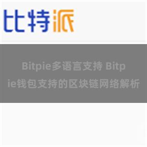 Bitpie多语言支持 Bitpie钱包支持的区块链网络解析