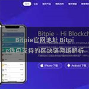 Bitpie官网地址 Bitpie钱包支持的区块链网络解析