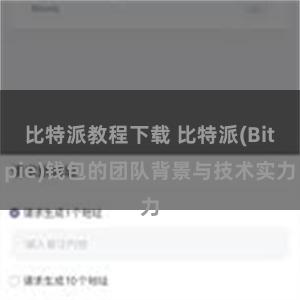 比特派教程下载 比特派(Bitpie)钱包的团队背景与技术实力