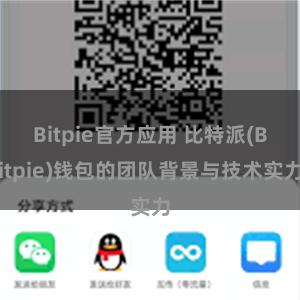 Bitpie官方应用 比特派(Bitpie)钱包的团队背景与技术实力