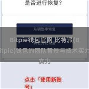 Bitpie钱包官网 比特派(Bitpie)钱包的团队背景与技术实力