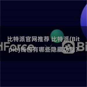 比特派官网推荐 比特派(Bitpie)钱包有哪些隐藏功能？