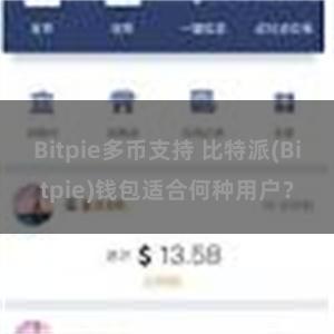 Bitpie多币支持 比特派(Bitpie)钱包适合何种用户？