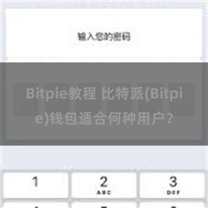 Bitpie教程 比特派(Bitpie)钱包适合何种用户？