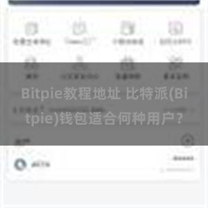 Bitpie教程地址 比特派(Bitpie)钱包适合何种用户？