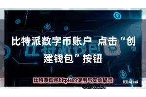 比特派数字币账户 点击“创建钱包”按钮
