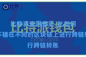 比特派官网首页 比如用户不错在不同的区块链上进行跨链转账