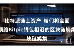 比特派链上资产  咱们将全面领路Bitpie钱包相沿的区块链鸠集