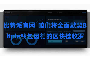 比特派官网 咱们将全面默契Bitpie钱包因循的区块链收罗