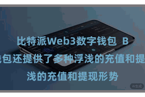 比特派Web3数字钱包 Bitpie钱包还提供了多种浮浅的充值和提现形势