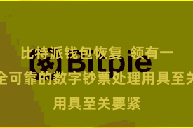 比特派钱包恢复  领有一款安全可靠的数字钞票处理用具至关要紧