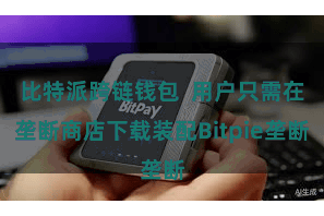 比特派跨链钱包  用户只需在垄断商店下载装配Bitpie垄断
