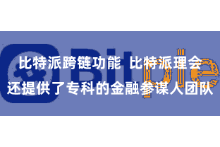 比特派跨链功能  比特派理会还提供了专科的金融参谋人团队