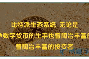 比特派生态系统  无论是初度斗争数字货币的生手也曾陶冶丰富的投资者